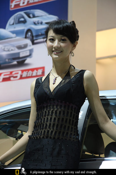 2008年第十一届成都国际车展